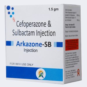 ARKAZONE-SB 1.5